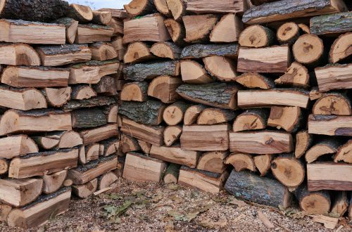 pile of firewood intended for heating houses in winter